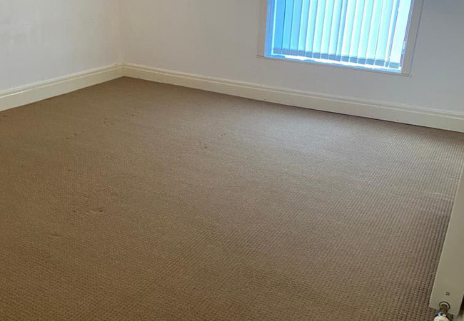 Carpet Cleaning in Allington, Salisbury